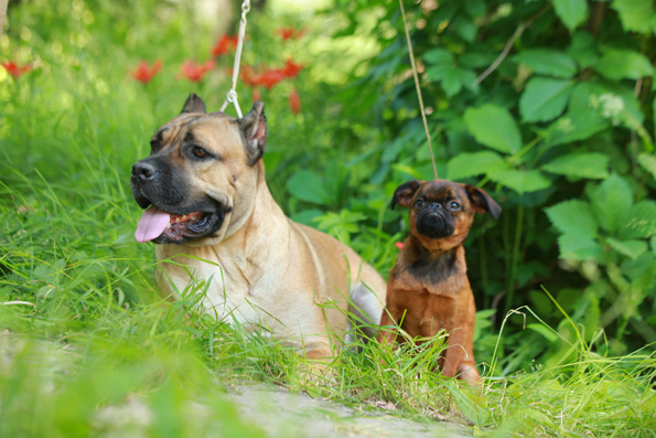 ������������� �������� �����