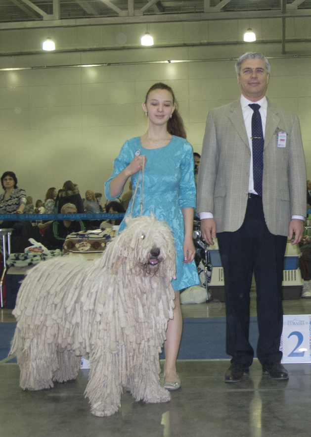 ������������� �������� �����