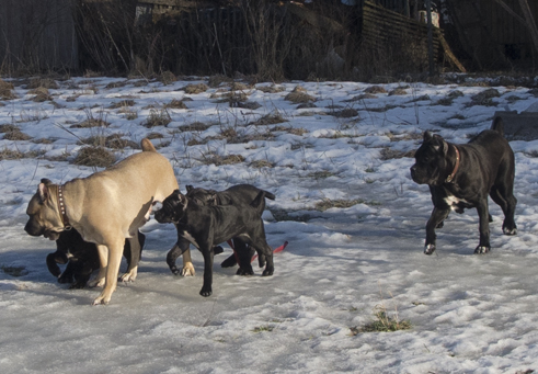 ������������� �������� �����