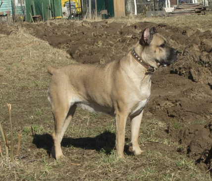 ������������� �������� �����