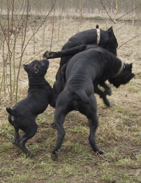 ������������� �������� �����