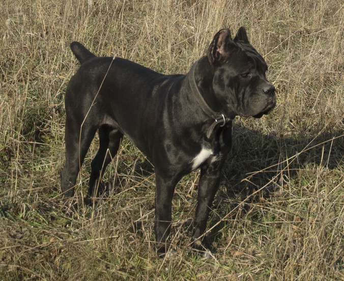 ������������� �������� �����