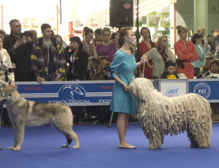 ������������� �������� �����