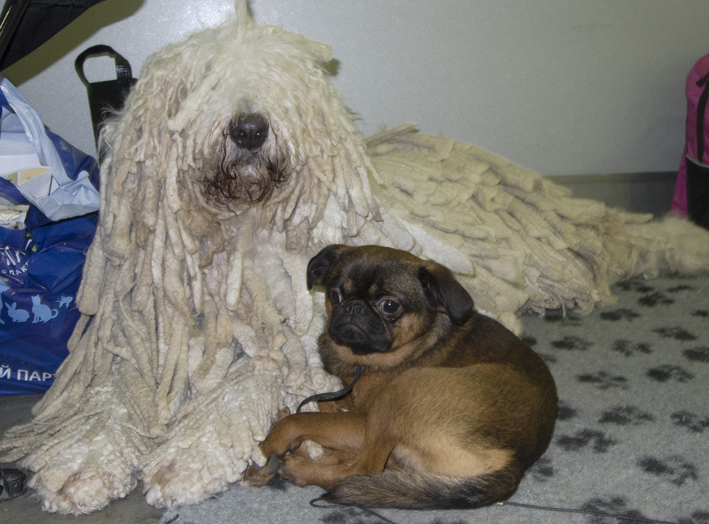 ������������� �������� �����