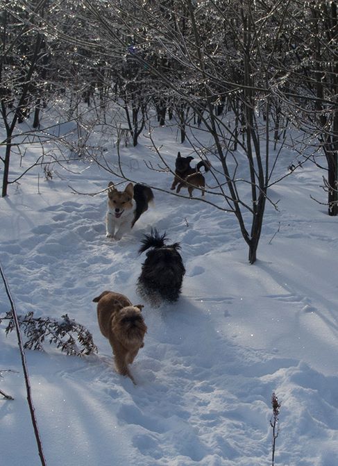 ������������� �������� �����