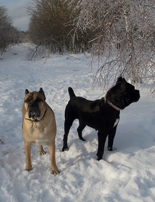 ������������� �������� �����