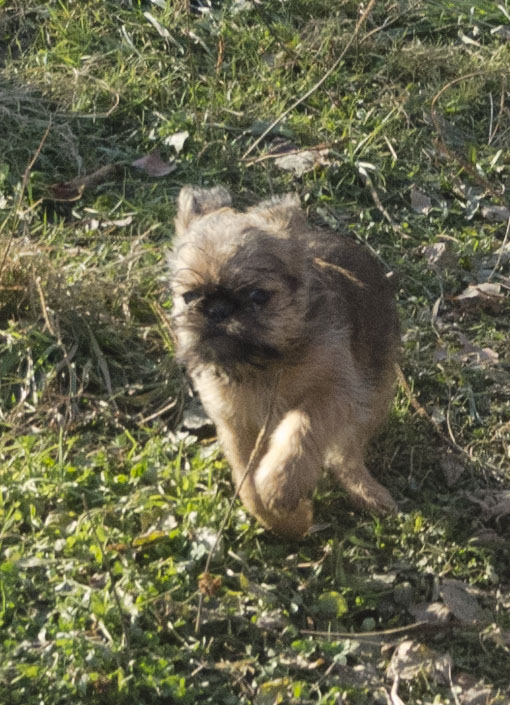 ������������� �������� �����