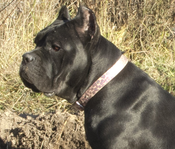 ������������� �������� �����