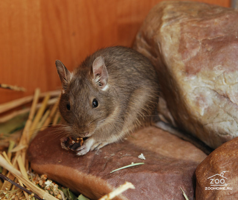 ����. ��������