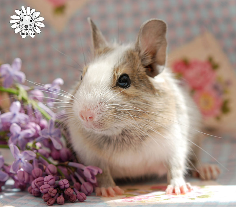 ����. ��������