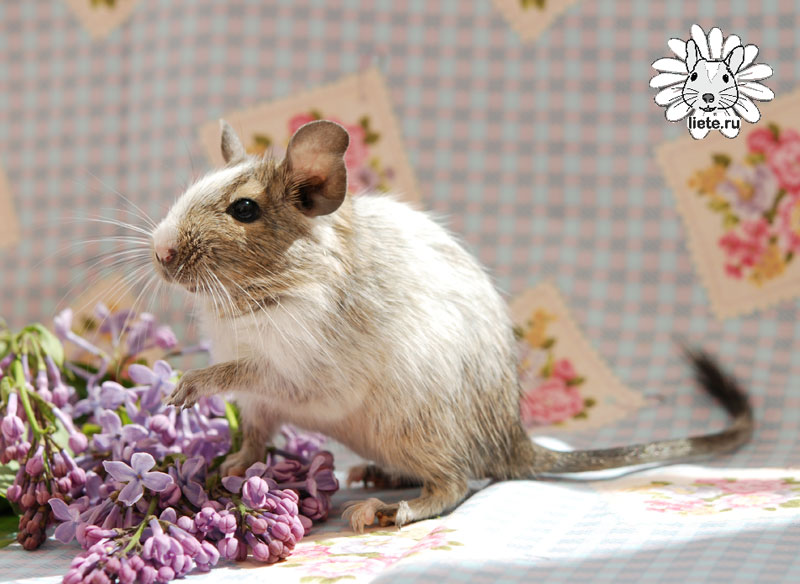 ����. ��������