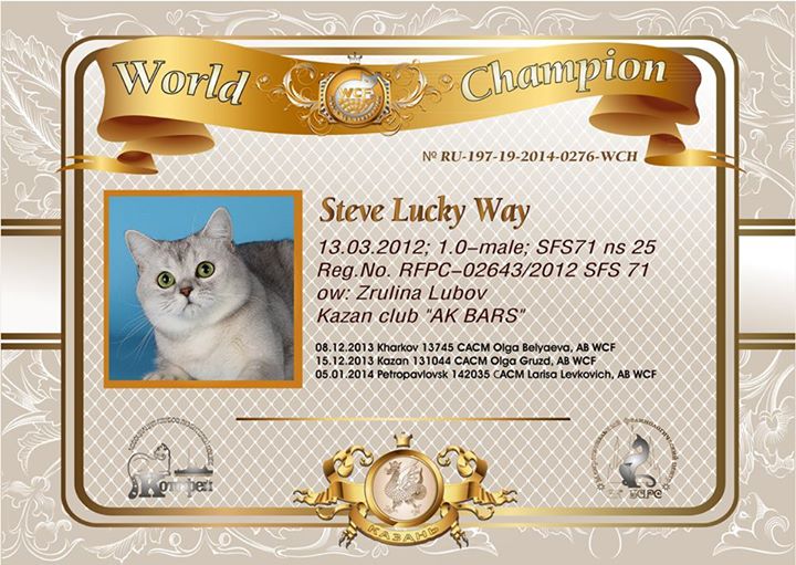 ����������� ��������������� ��������� (�������-������)