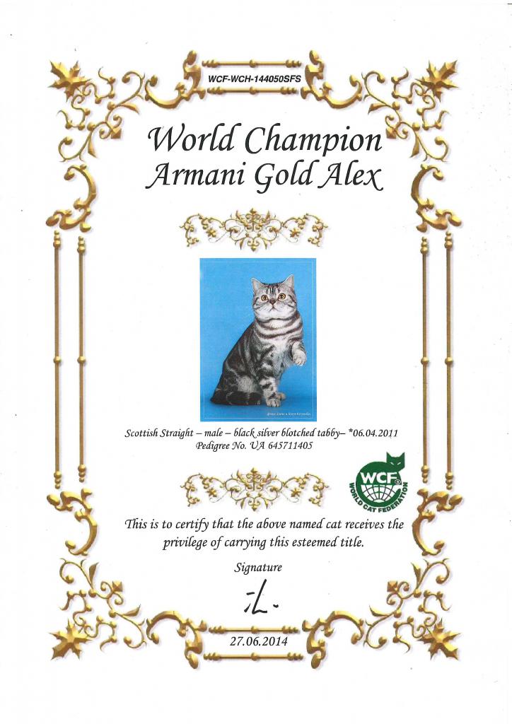 ����������� ��������������� ��������� (�������-������). ��������