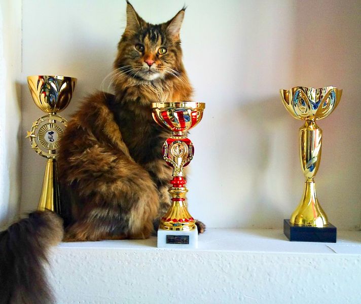 ����-��� �� ��������� ����� ���-����-���