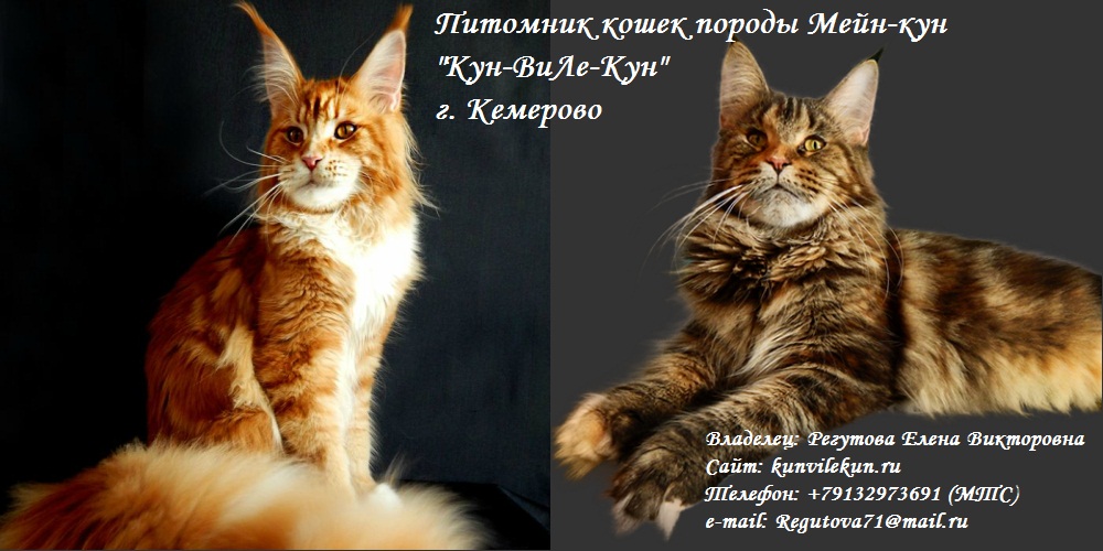 ����-��� �� ��������� ����� ���-����-���