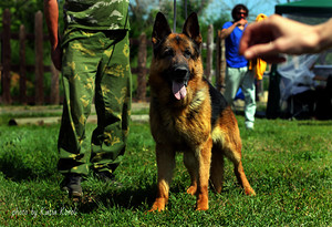 �������� ������� �� ��������� ����� ������� ������