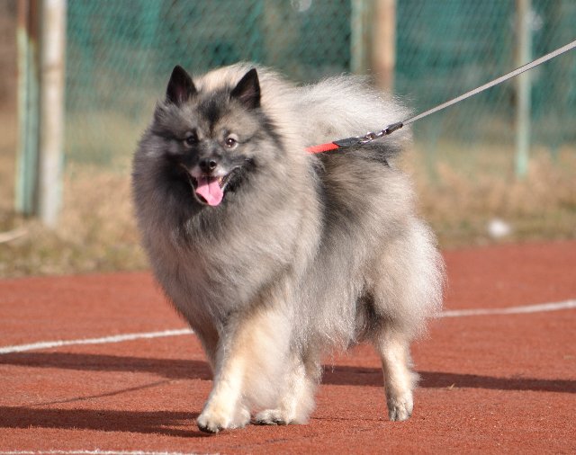 �������� �� ��������� ����� ������ ����