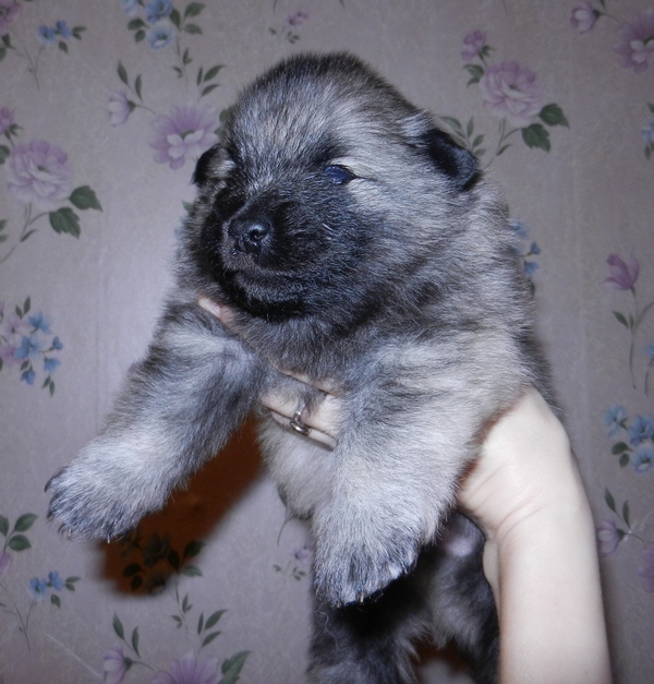 �������� �� ��������� ����� ������ ����