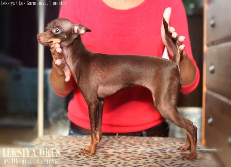 ������� ���-������ �� ��������� ����� ������ ���� 