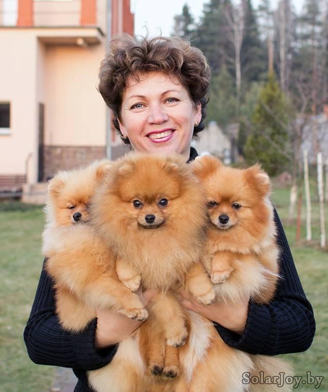 ������������� �������� �����