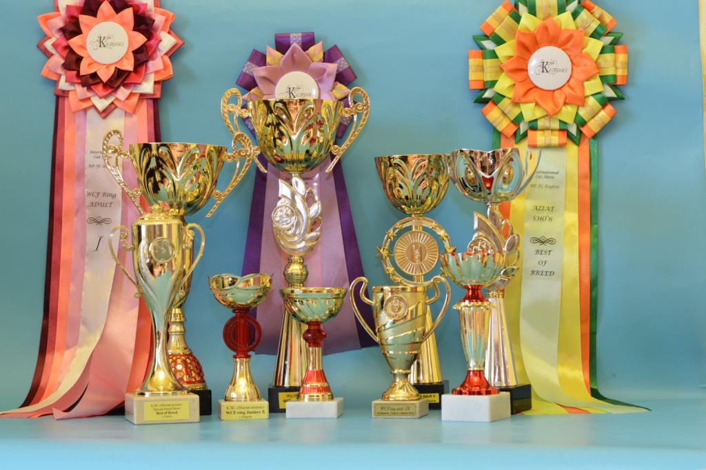 �������������