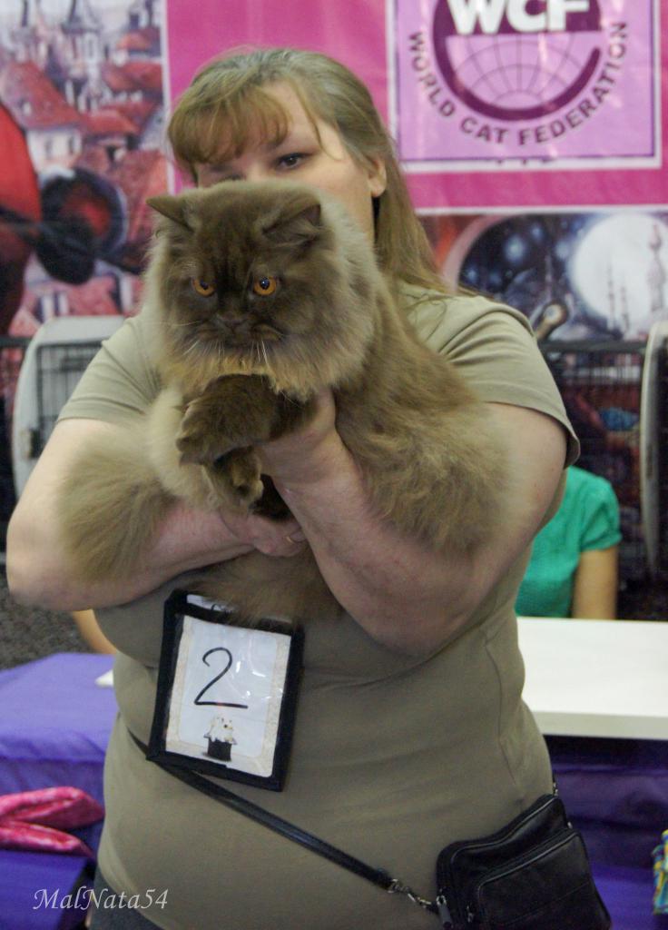 ������������� �������� �����