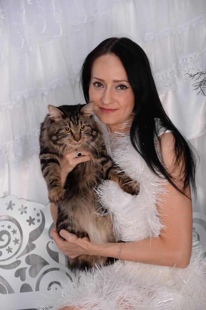 ���������� �������