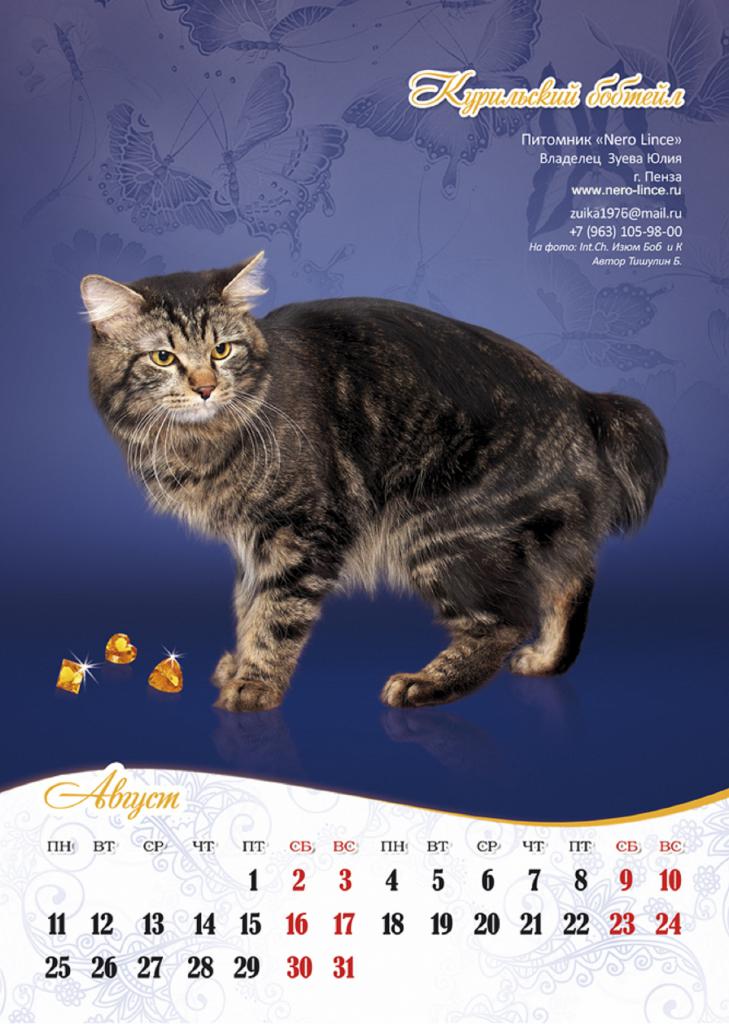 ���������� �������