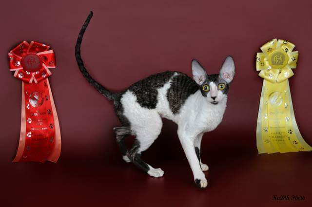 ������-���� �� ��������� ����� Sunrise 