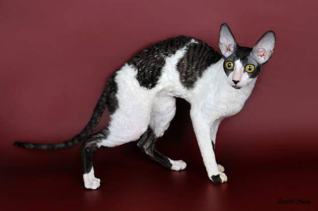 ������-���� �� ��������� ����� Sunrise 