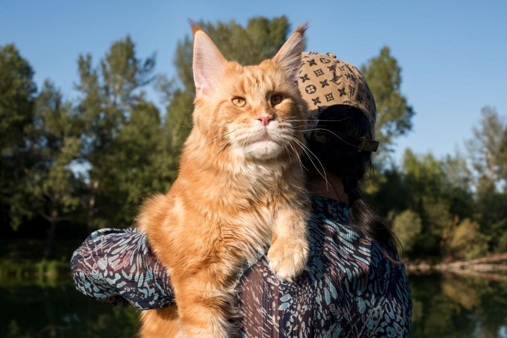 ����-��� �� ��������� ����� ���������