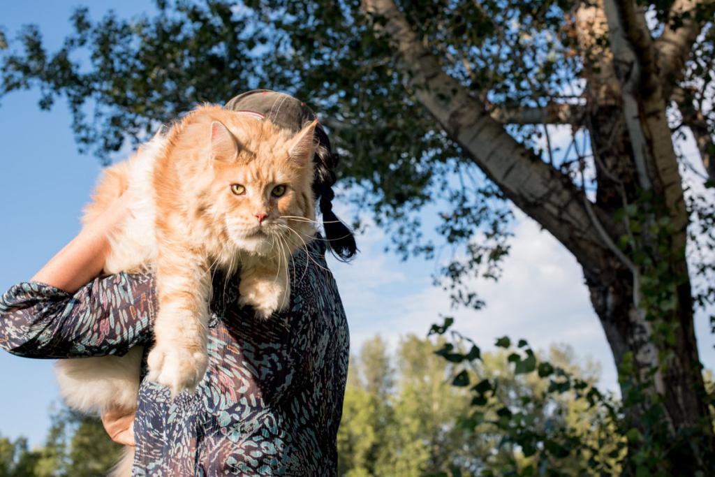 ����-��� �� ��������� ����� ���������