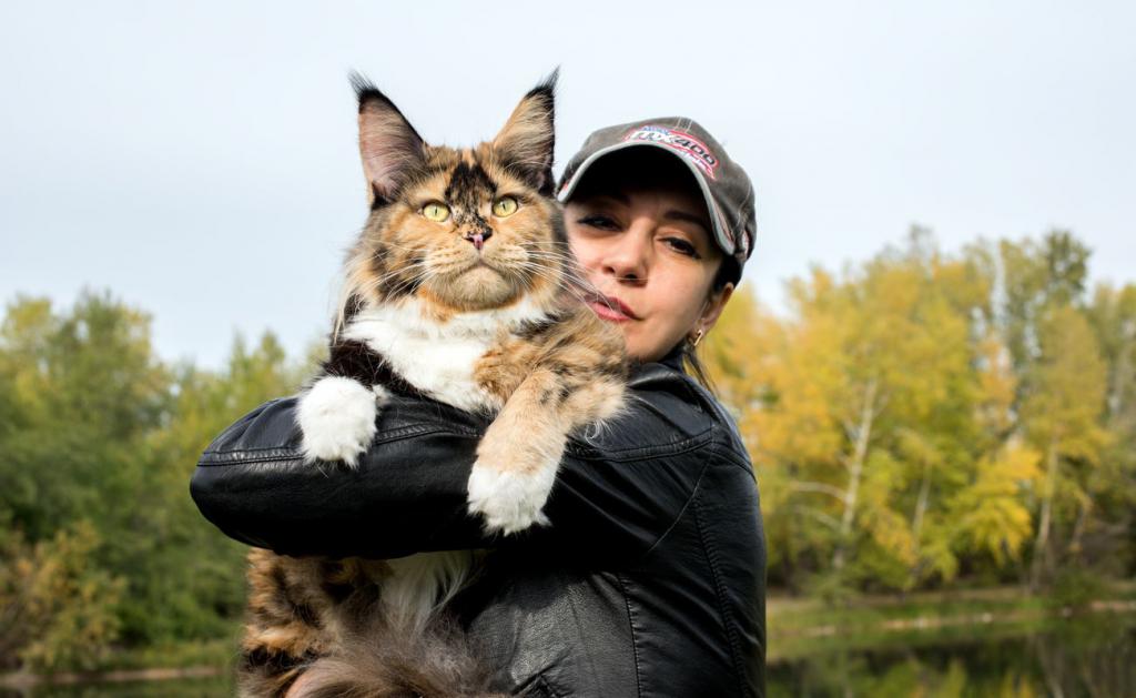 ����-��� �� ��������� ����� ���������