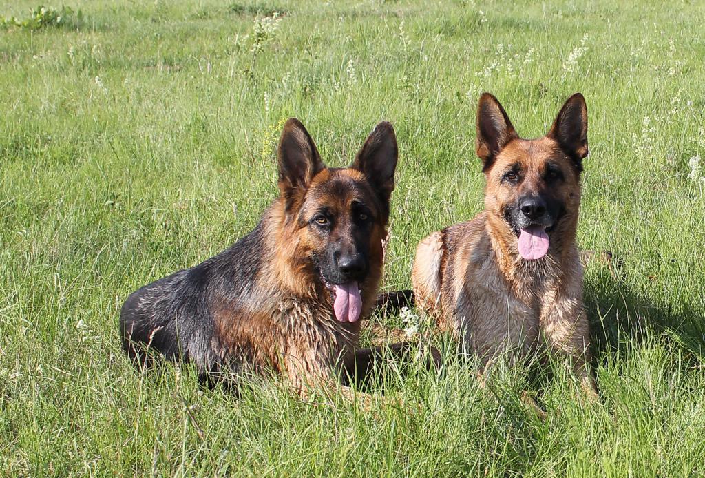 �������� ������� �� ��������� ����� Fire River