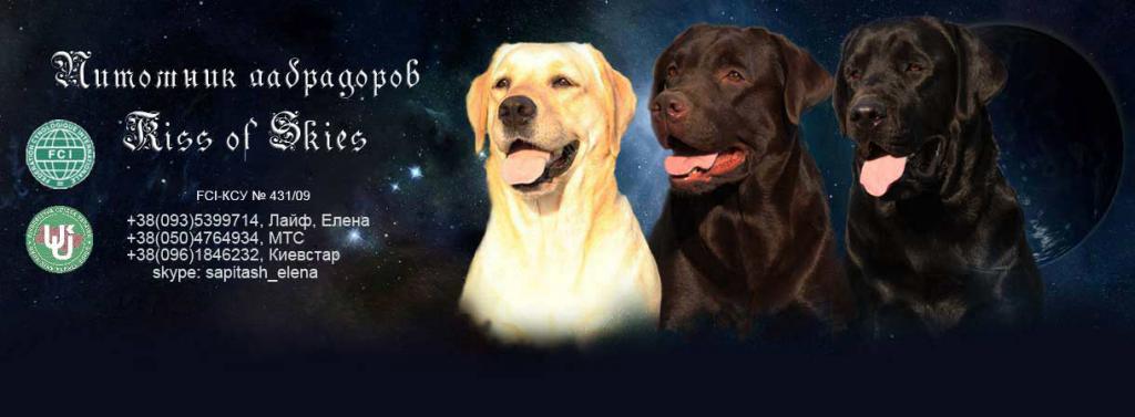 �������� ��������. ��������