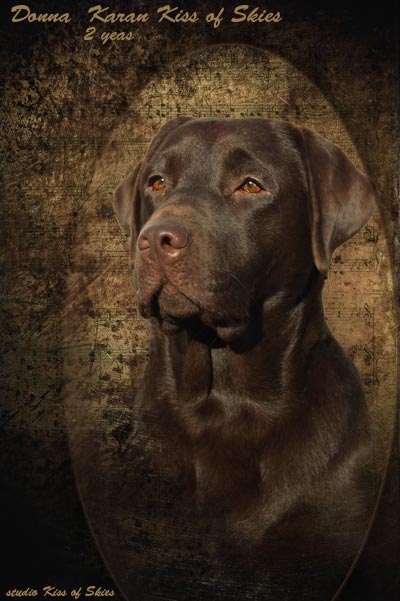 �������� ��������. ��������