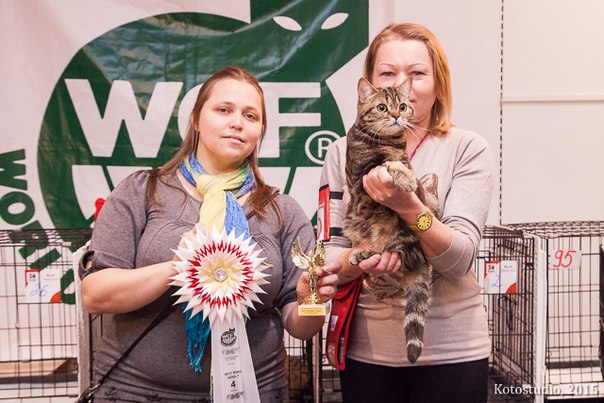 ������������� �������� �����