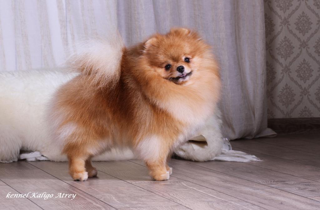 �������� �������� �� ��������� ����� ������ �����