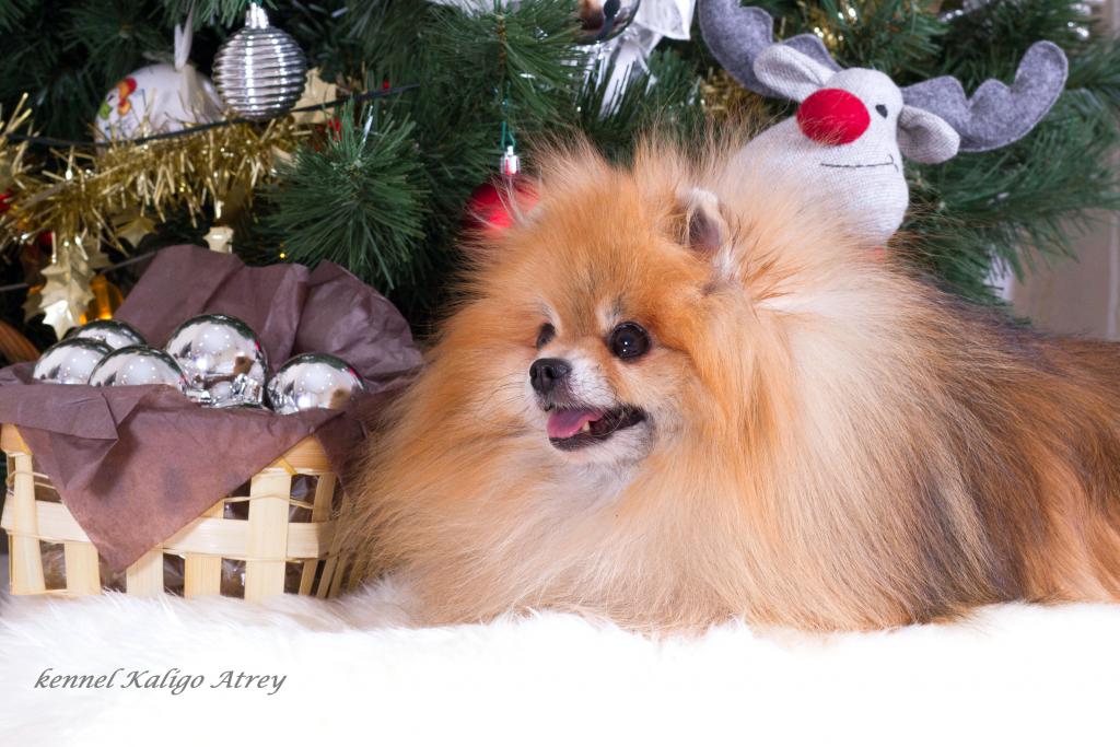 �������� �������� �� ��������� ����� ������ �����