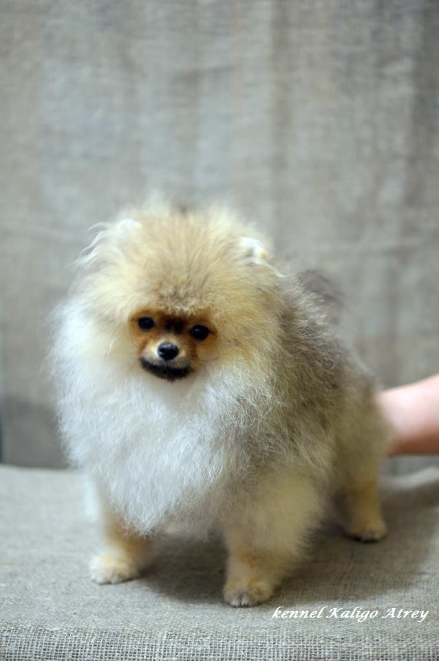 �������� �������� �� ��������� ����� ������ �����