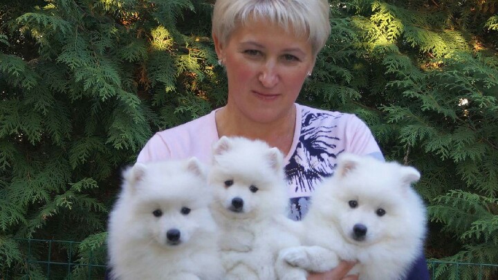 �������� ���� �� ��������� ����� ������ �����