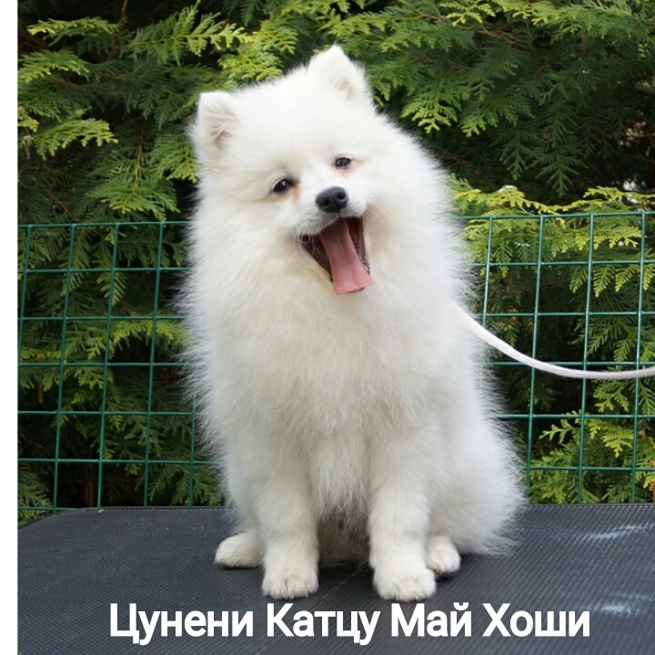 �������� ���� �� ��������� ����� ������ �����