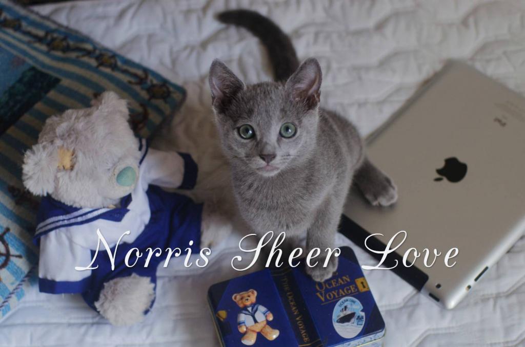 ������� ������� �����. ��������