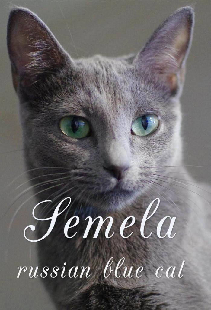 ������� ������� �����. ��������