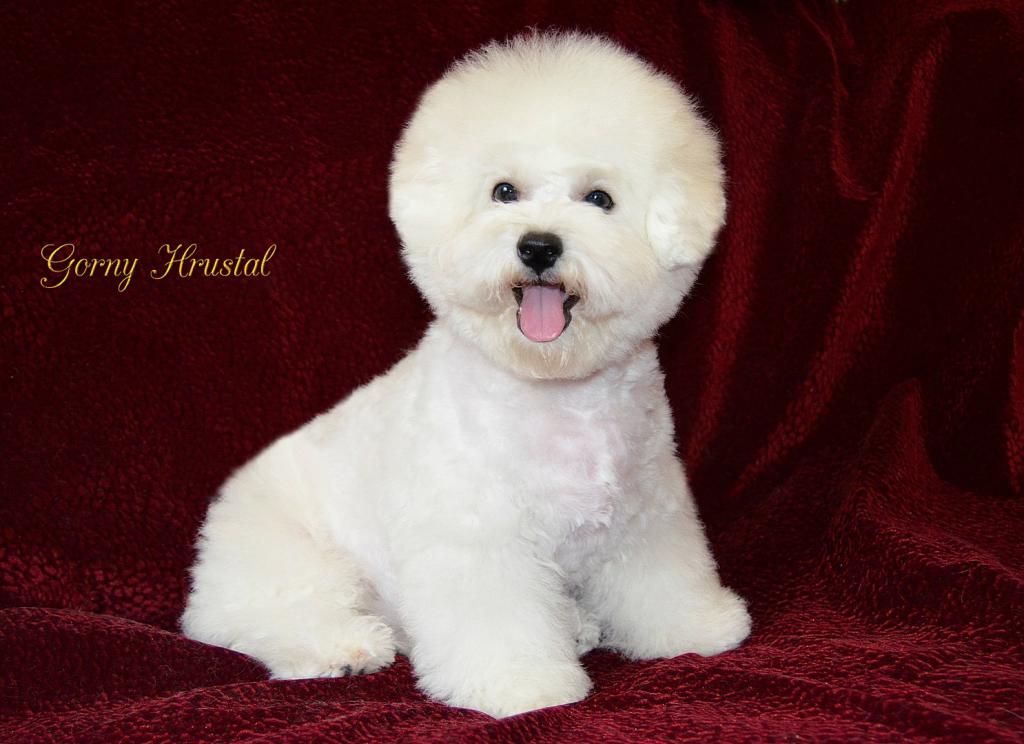 ������������� �������� �����