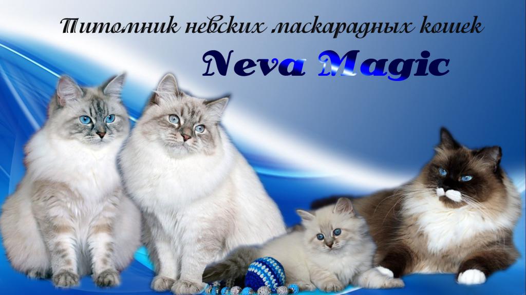 ������� �����������. ��������