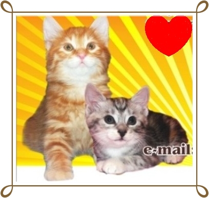 ���������� �������. ��������