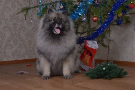 �������� �� ��������� ����� ���� ������� ����