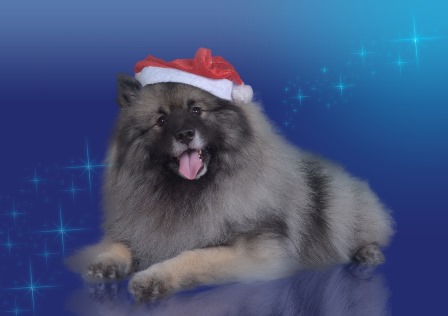 �������� �� ��������� ����� ���� ������� ����