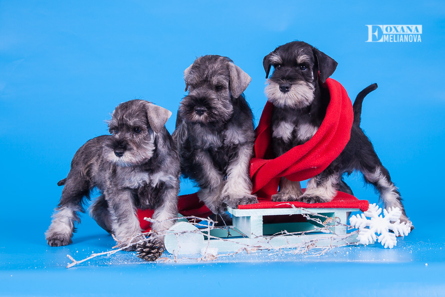 �������������